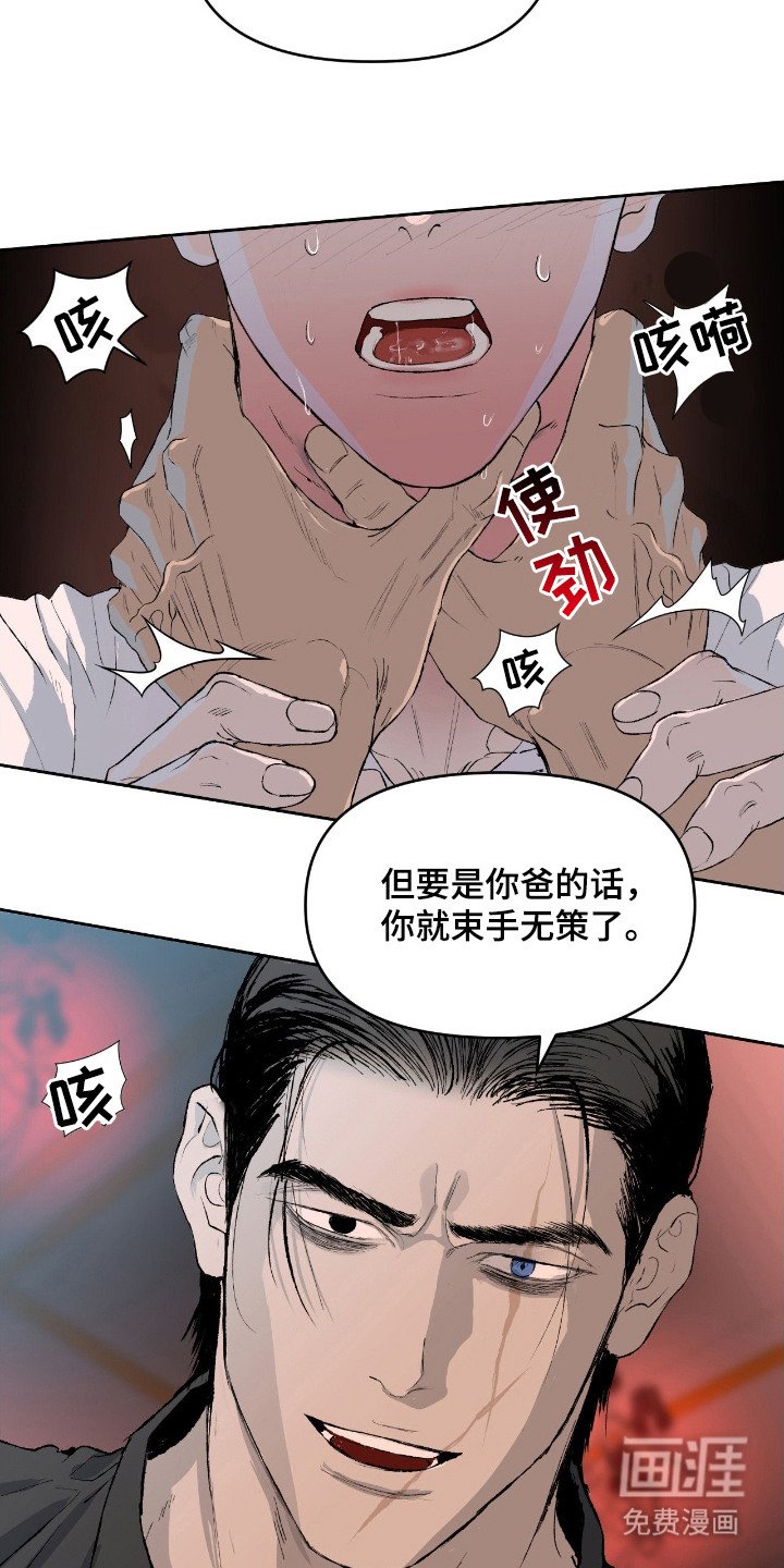 第11章：诱饵