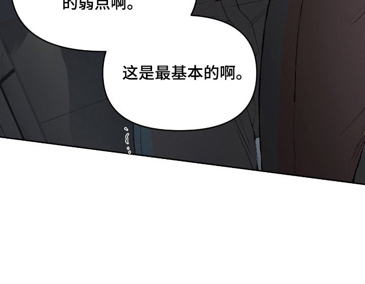 第11章：诱饵