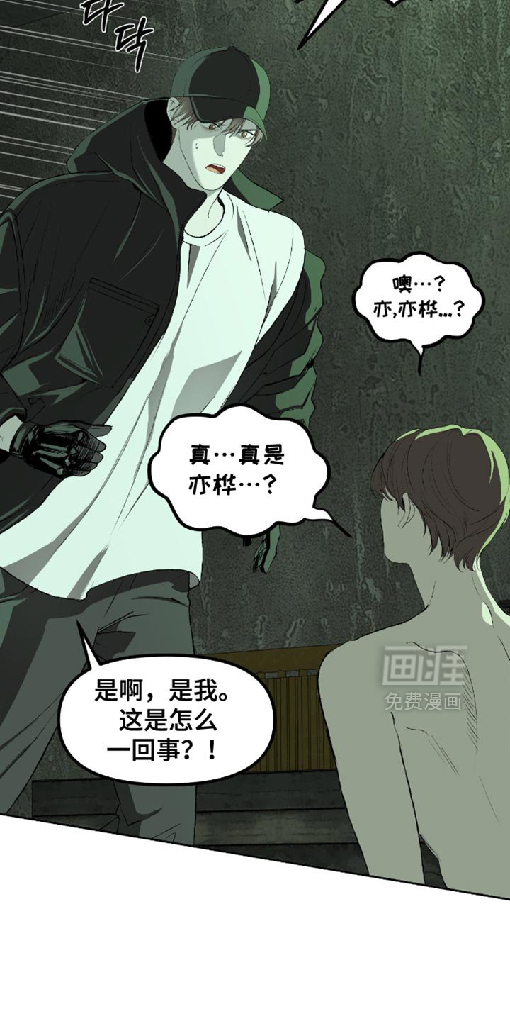 第16章：不要动他