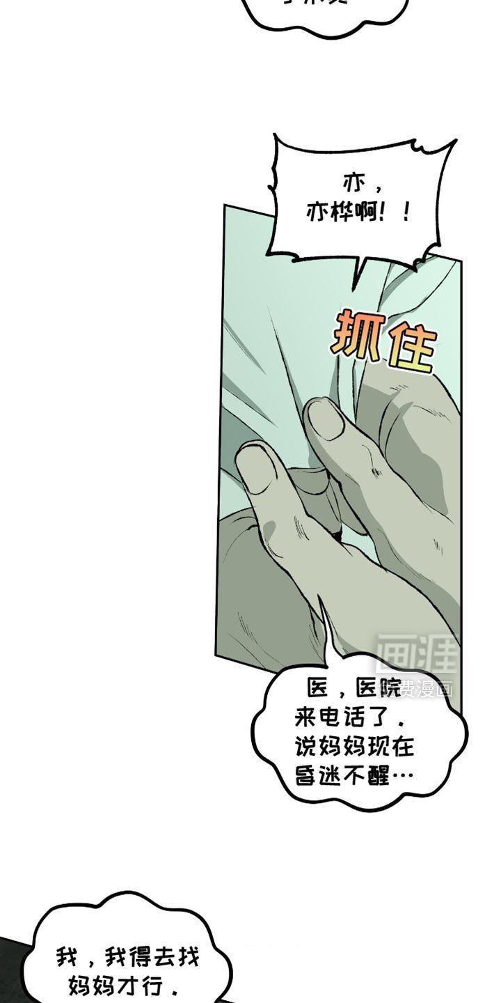 第16章：不要动他