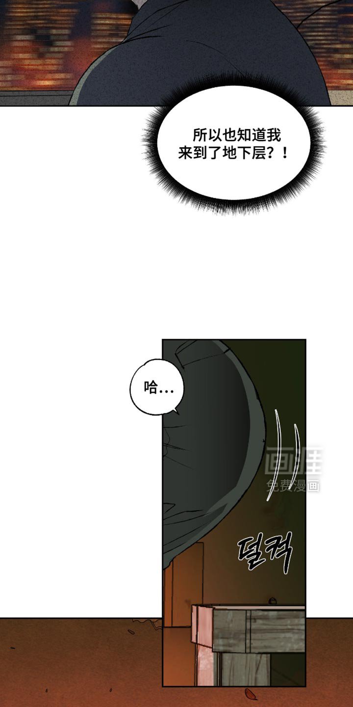 第17章：你来做