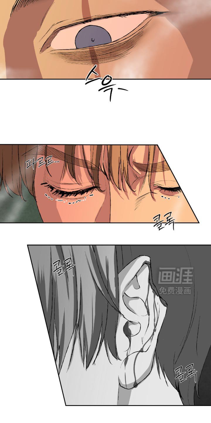 第17章：你来做