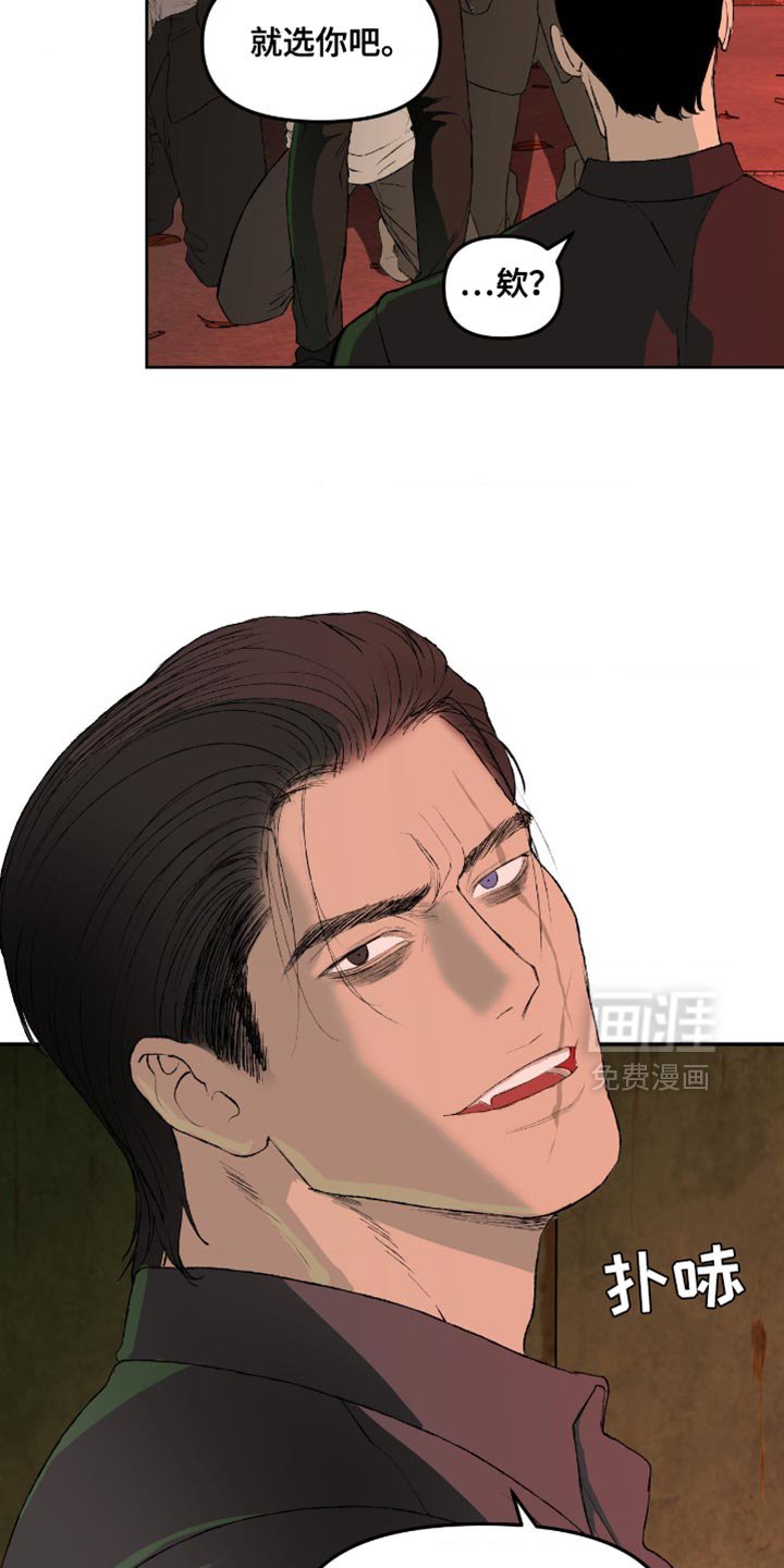 第17章：你来做