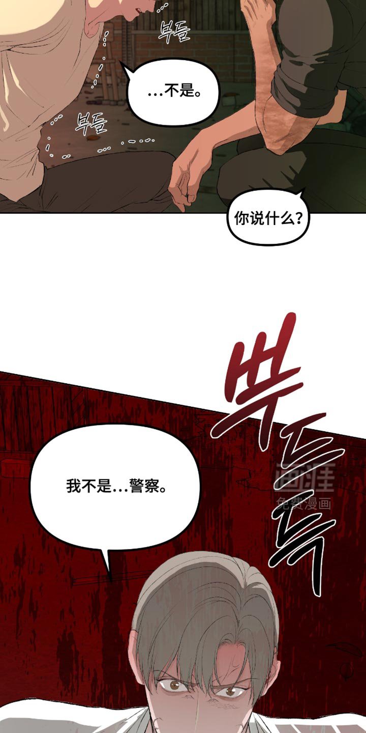 第17章：你来做