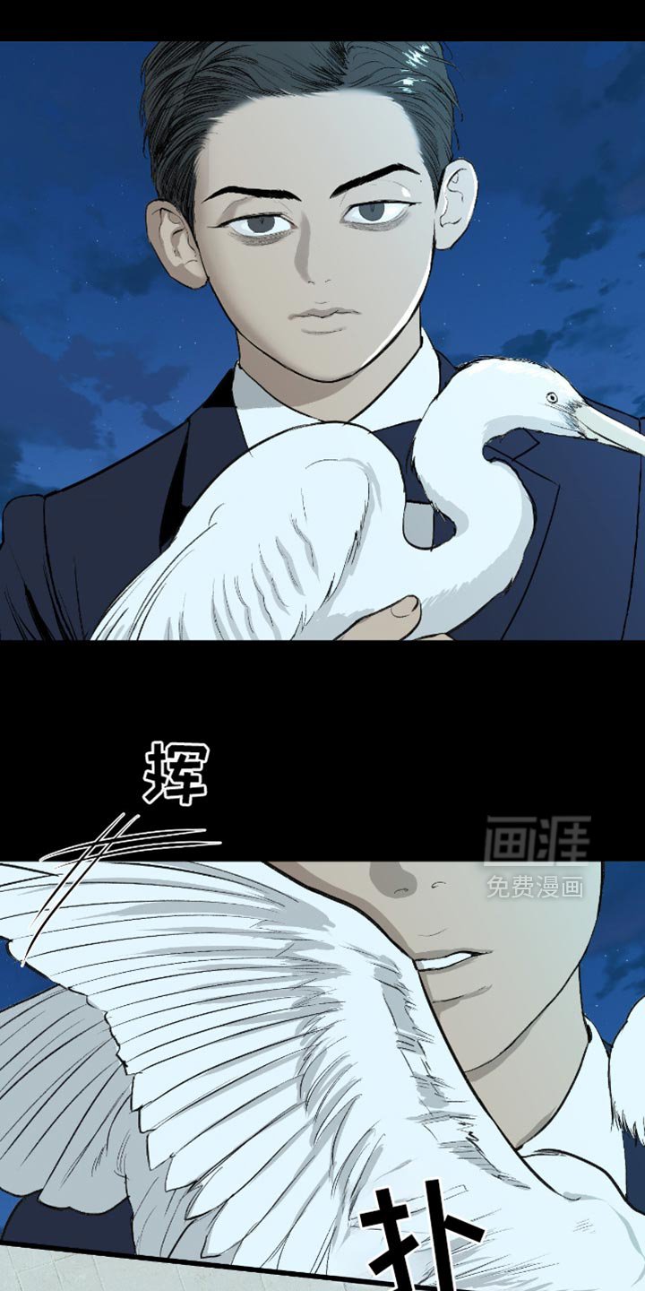 第24章：再也没有你生活过的花丛了