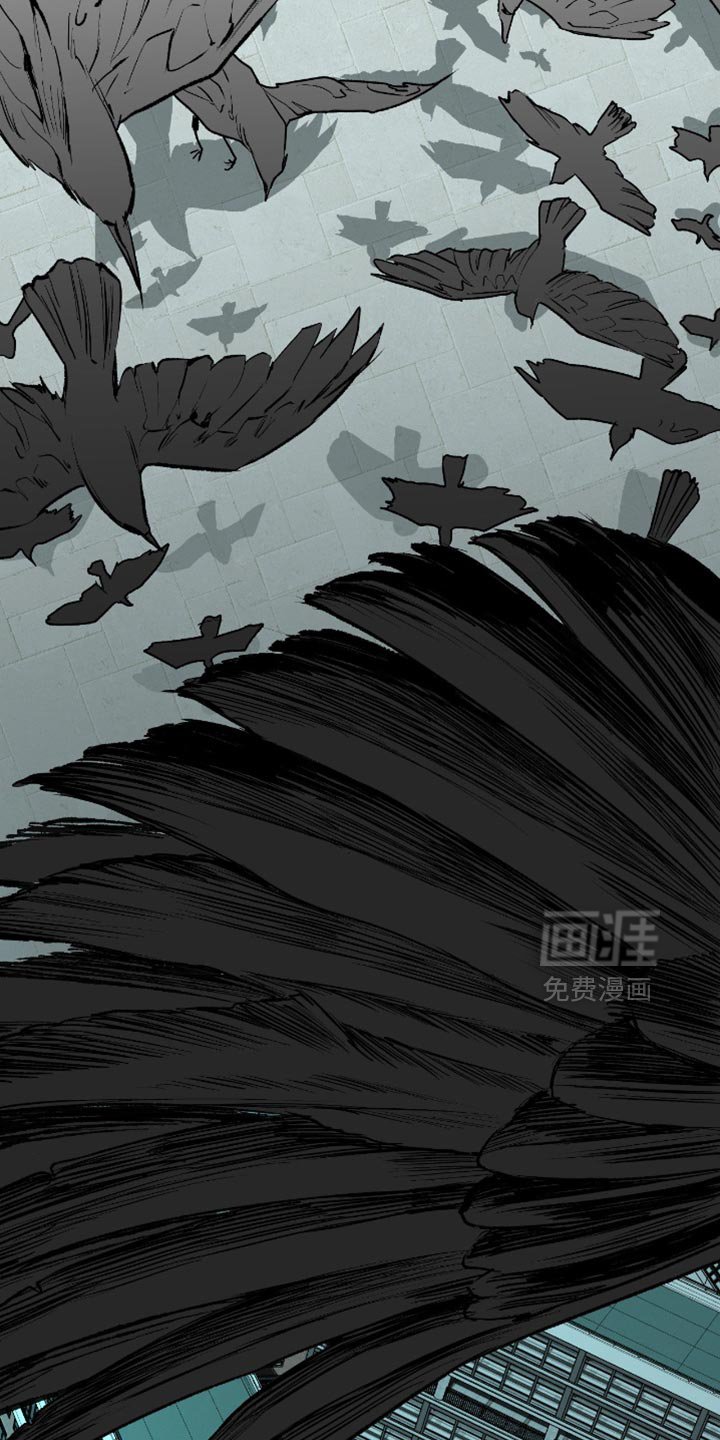 第24章：再也没有你生活过的花丛了