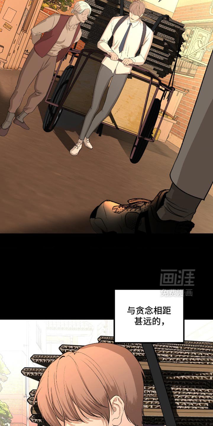 第24章：再也没有你生活过的花丛了
