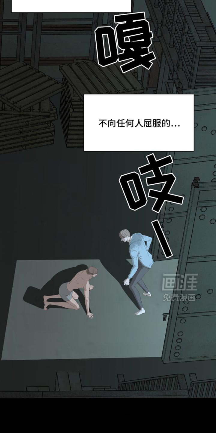 第24章：再也没有你生活过的花丛了