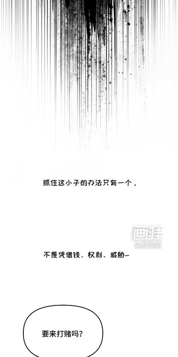 第24章：再也没有你生活过的花丛了