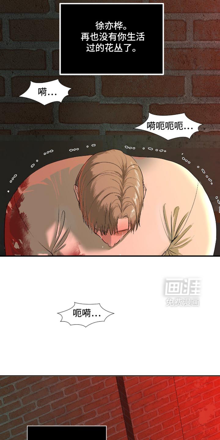第24章：再也没有你生活过的花丛了