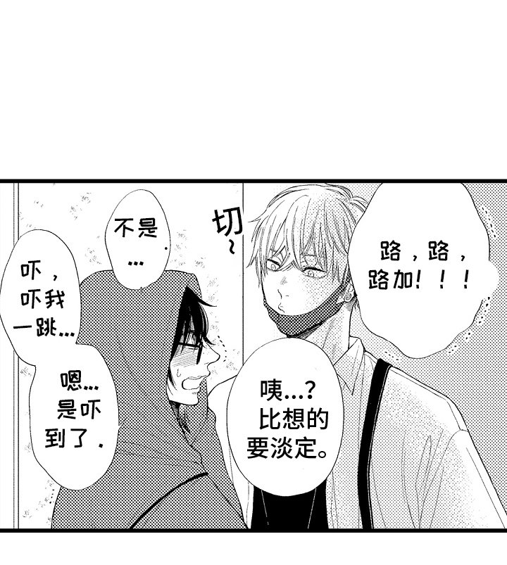 第12章：联合直播