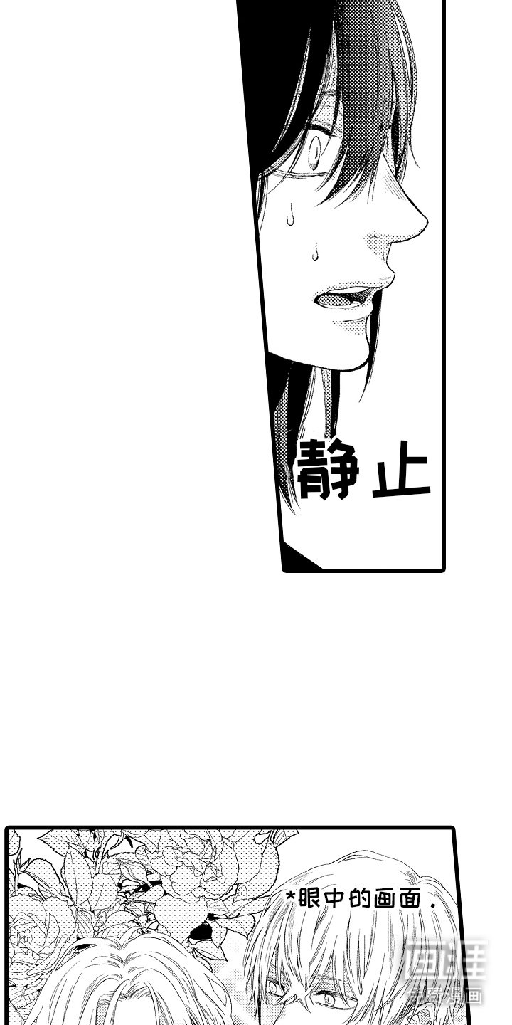 第5章：我的偶像