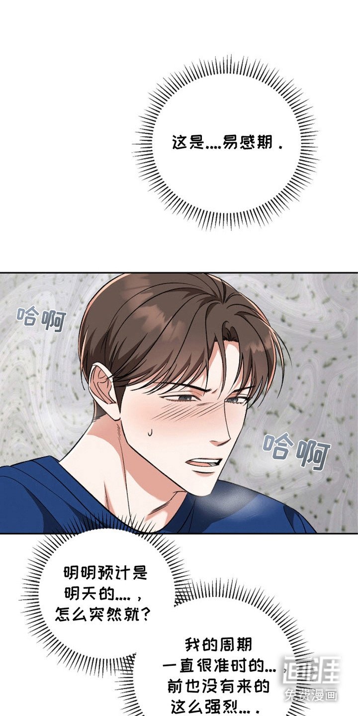 第12章：阿尔法