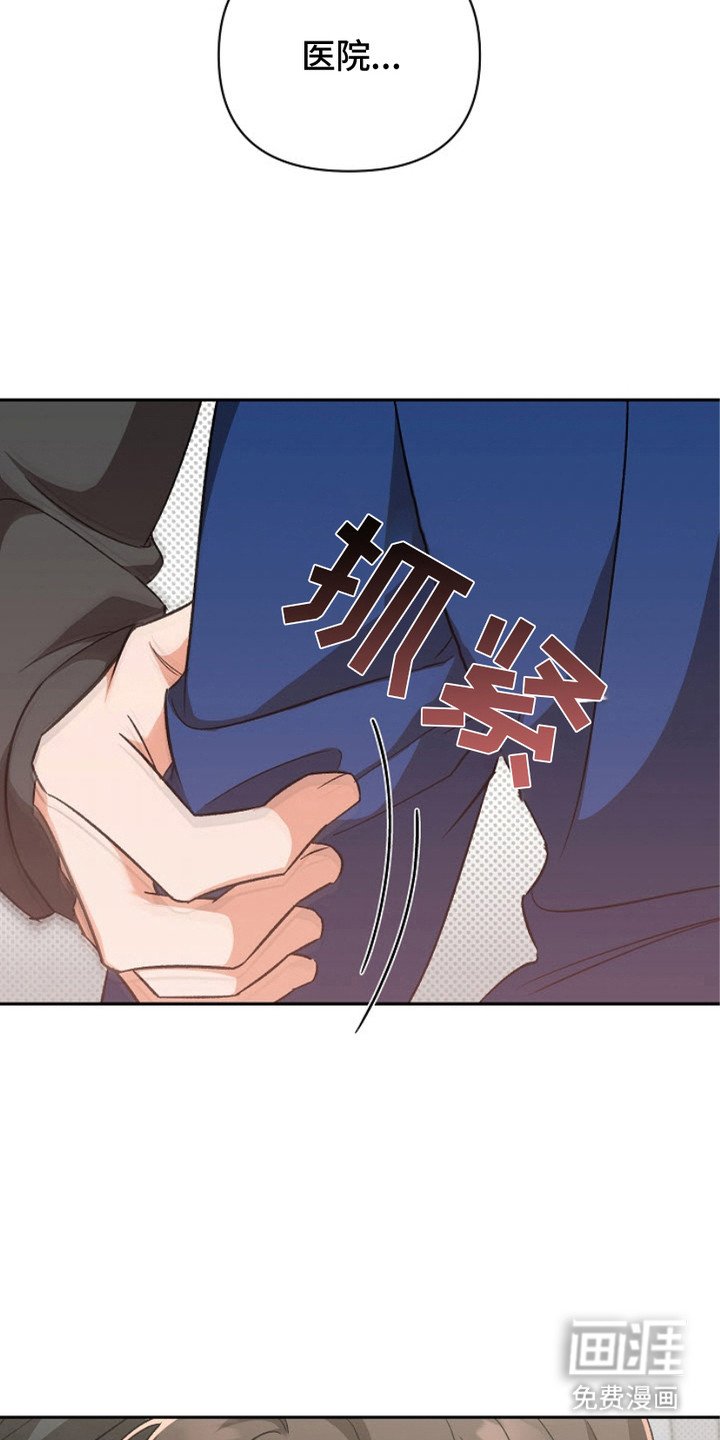 第12章：阿尔法
