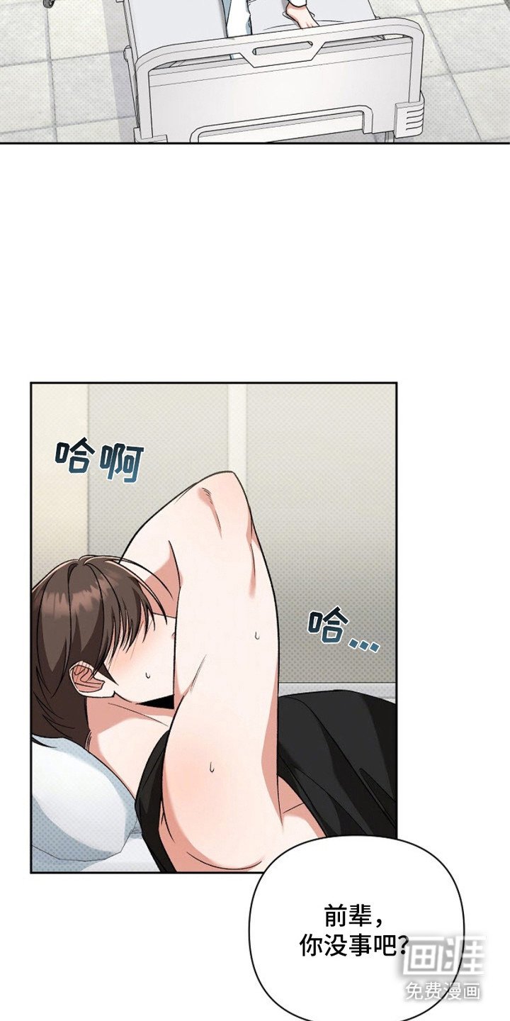 第12章：阿尔法