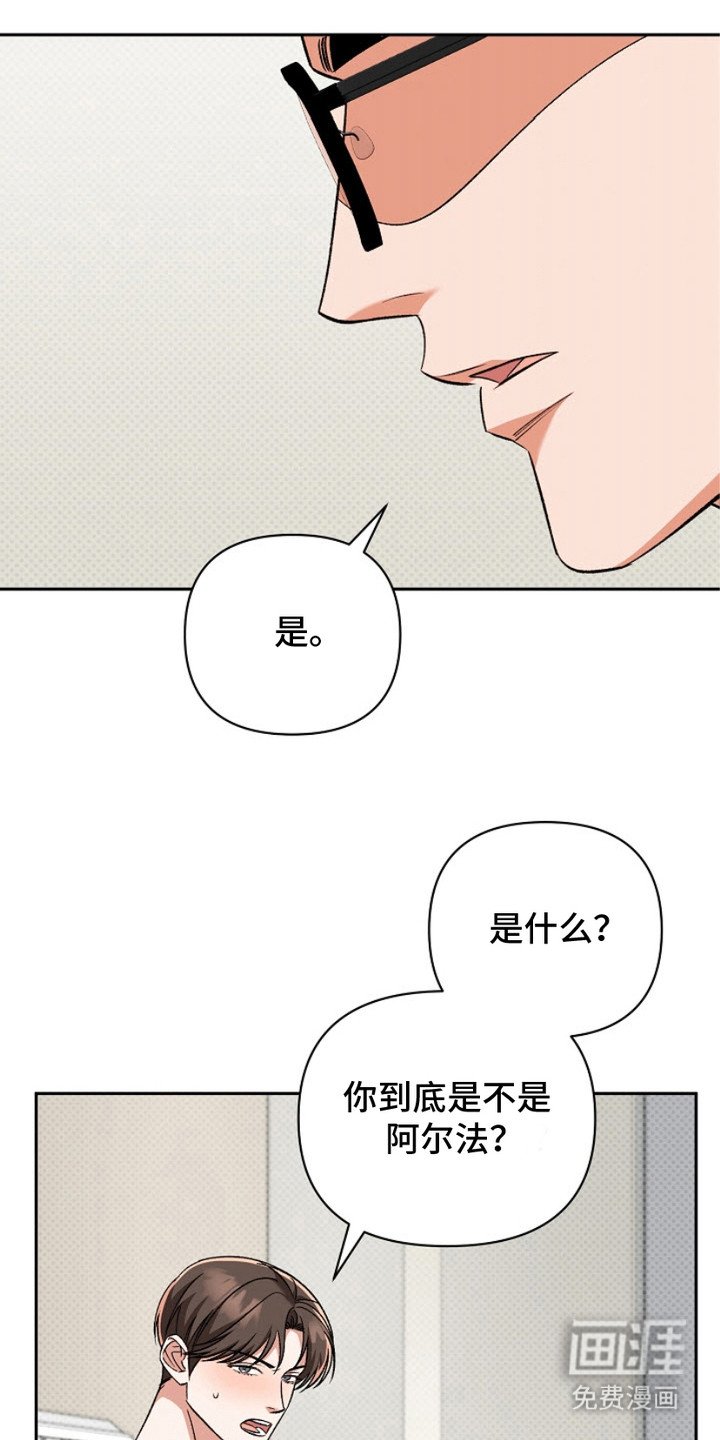 第12章：阿尔法