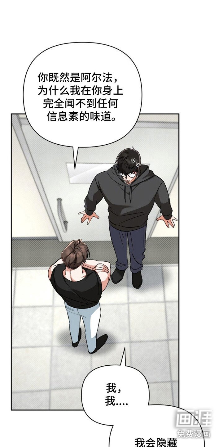 第12章：阿尔法