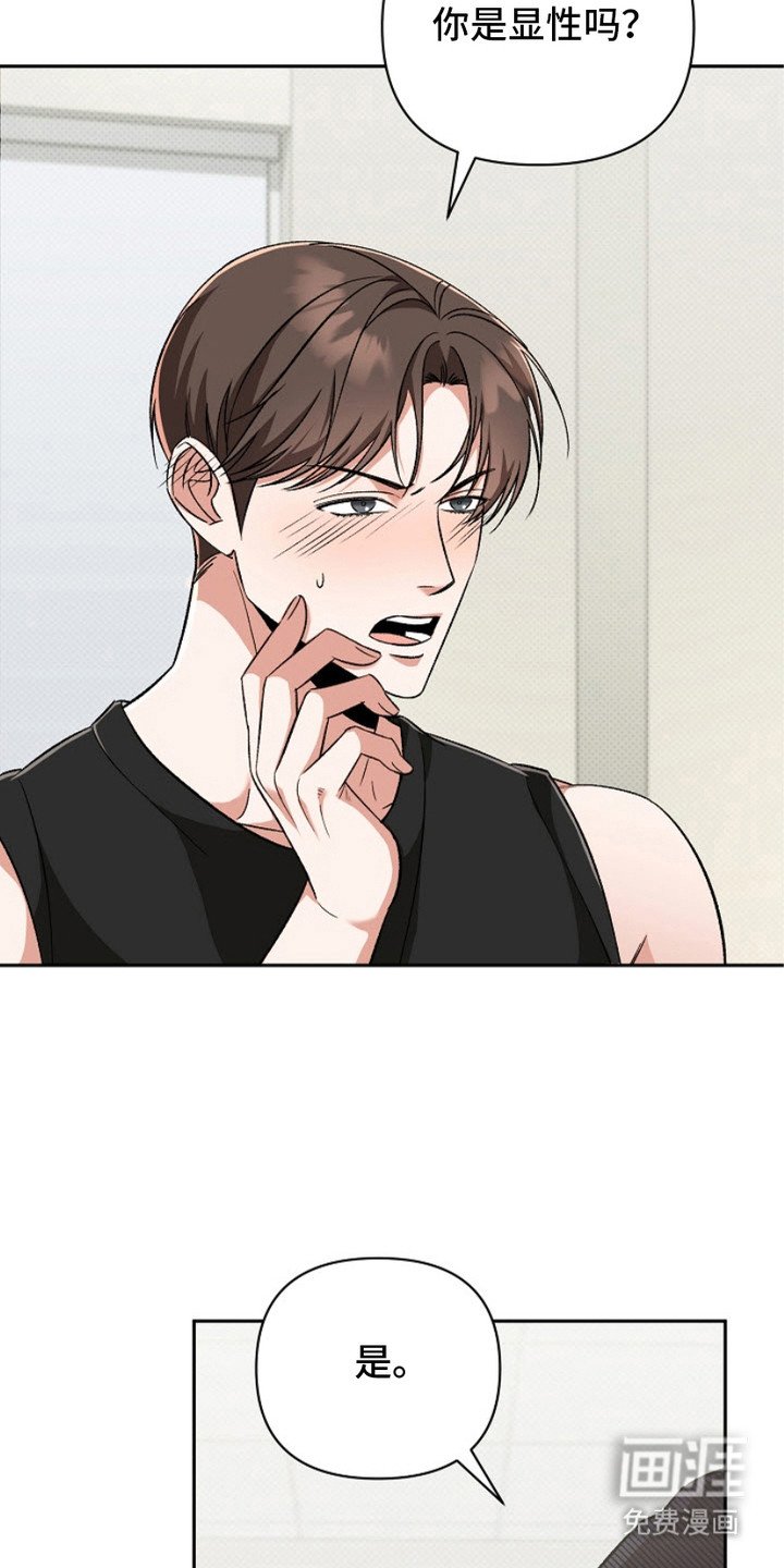 第12章：阿尔法