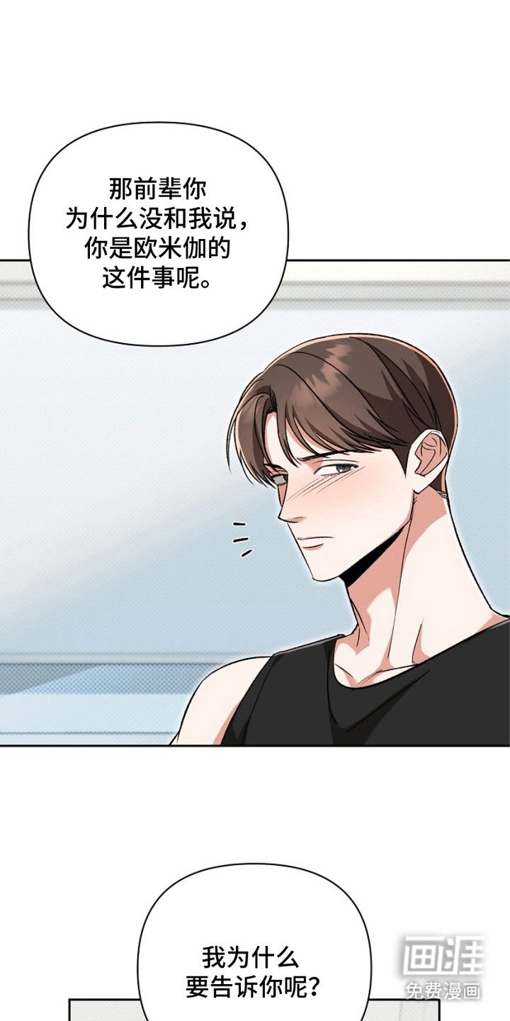 第13章：眼镜