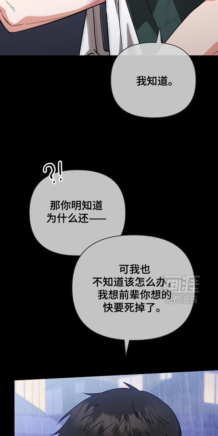 第42章：狡猾的家伙