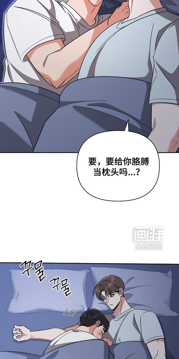 第48章：真的很喜欢（第一季完结）