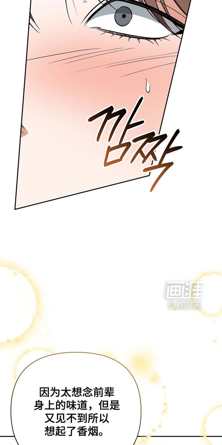 第64章：【第二季】太想念了
