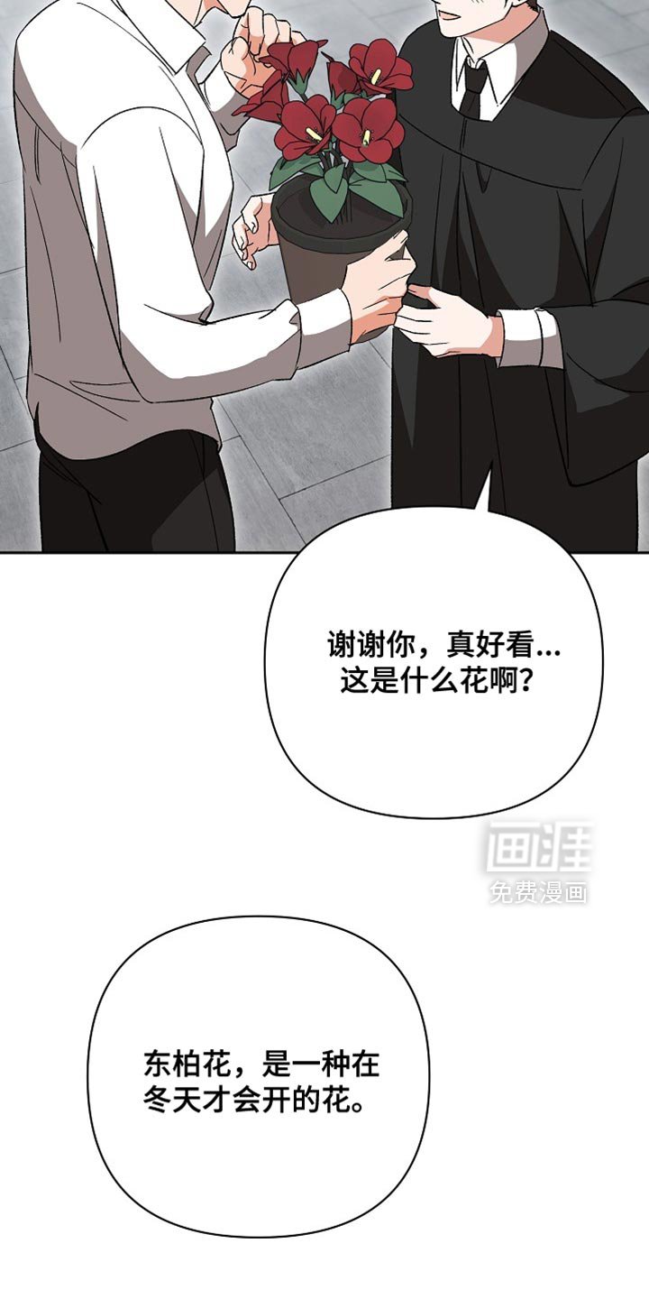 第73章：【第二季】未来的女婿（完结）