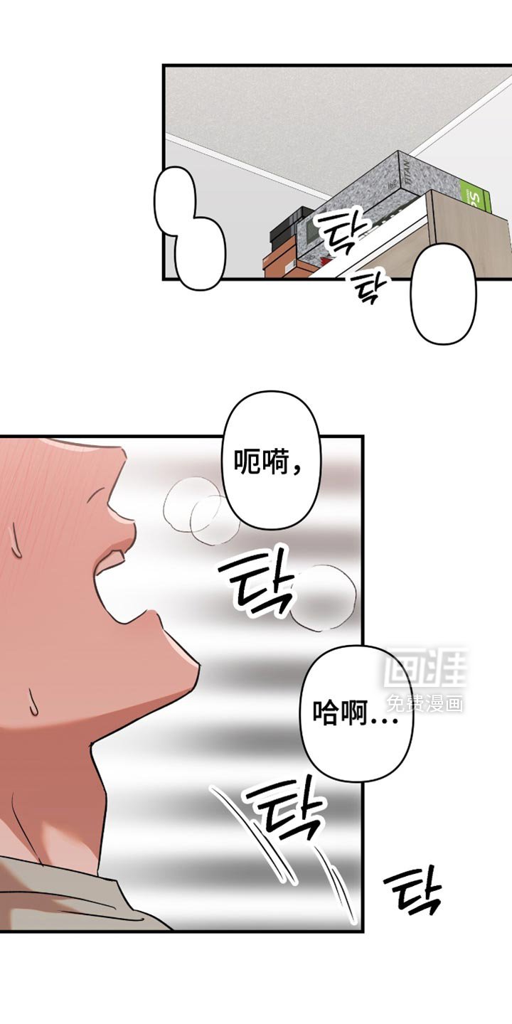 第27章：【第三季】只选择男人