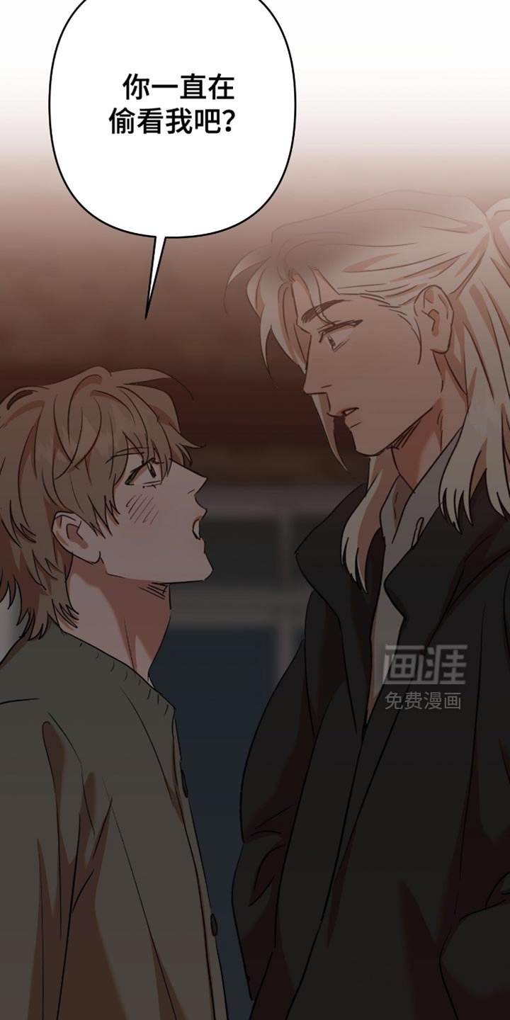 第48章：【第四季】剩下的办法