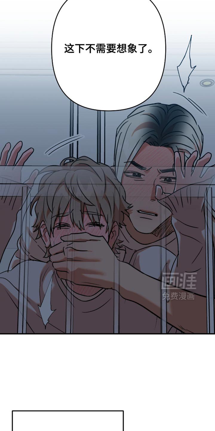第53章：【第四季】魅力