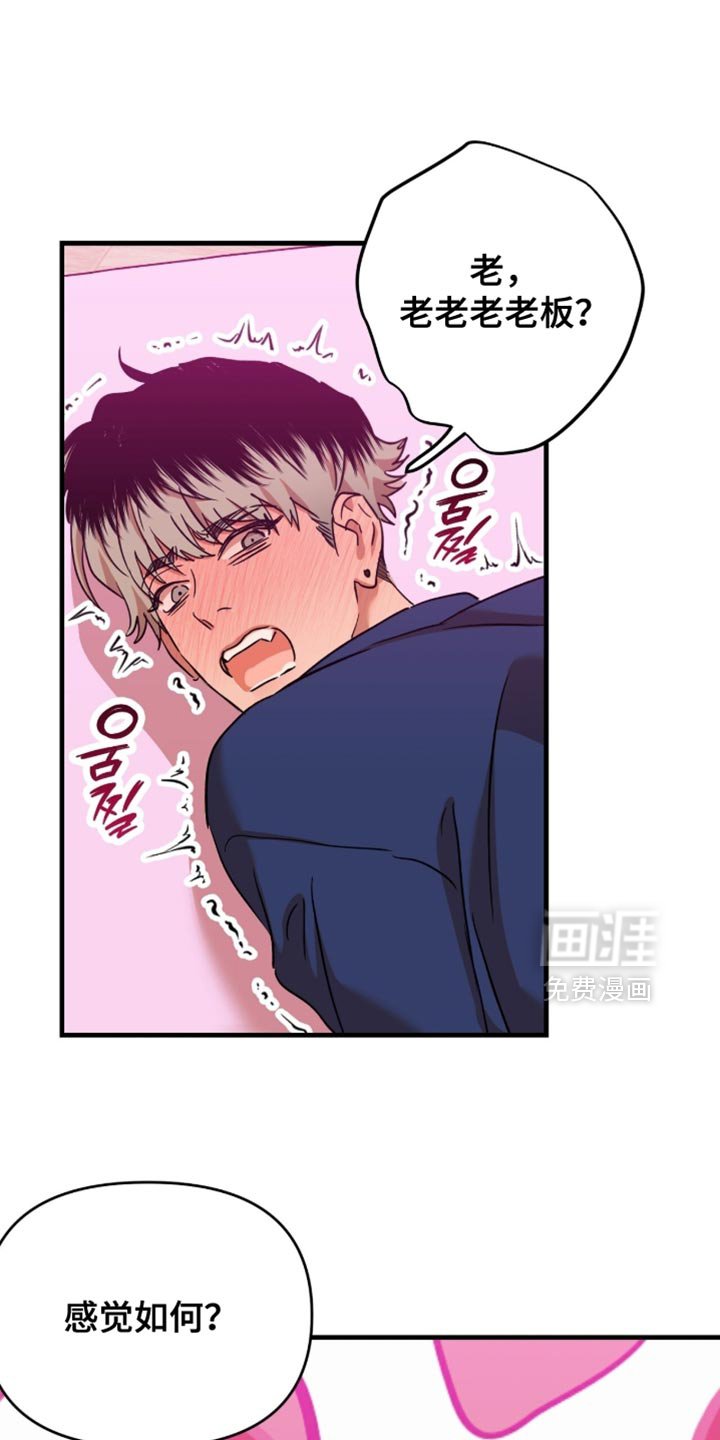 第56章：【第四季】满意的职场