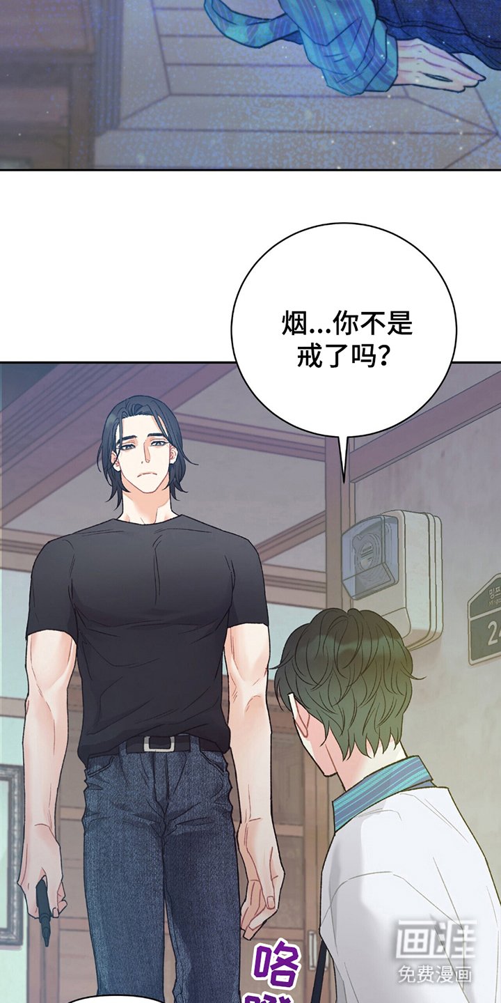 第11章：是真的