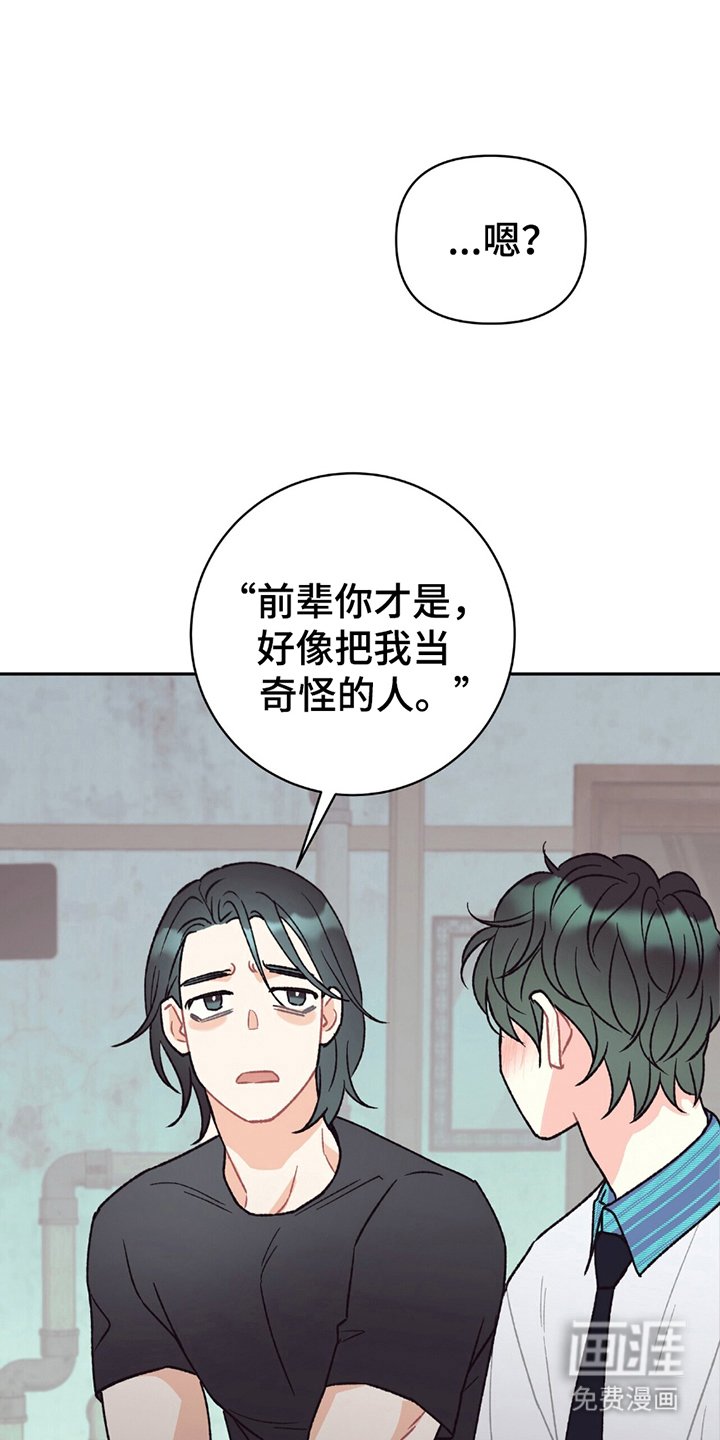 第12章：不用道歉