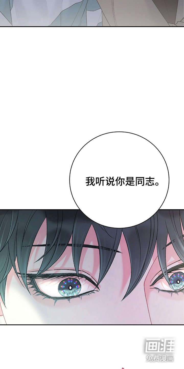 第6章：你是同志吗？