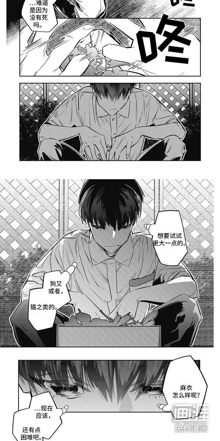第16章：无趣