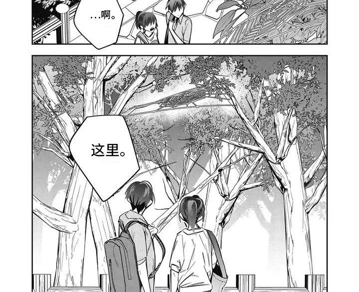 第2章：奇怪的哥哥