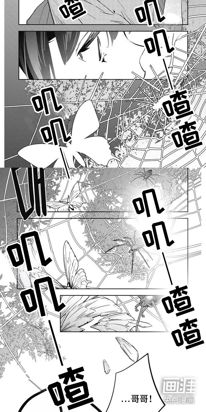 第2章：奇怪的哥哥