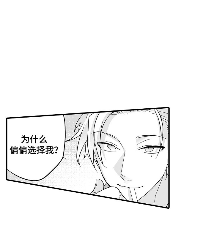 第1章：新对象