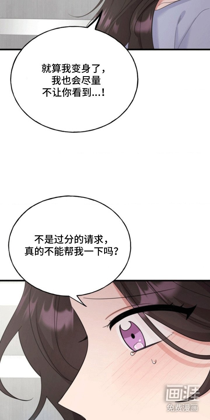 第13章：提议