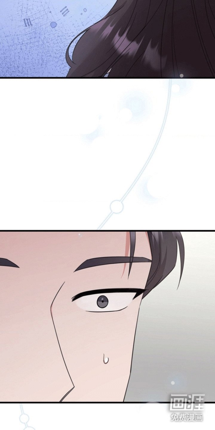 第13章：提议