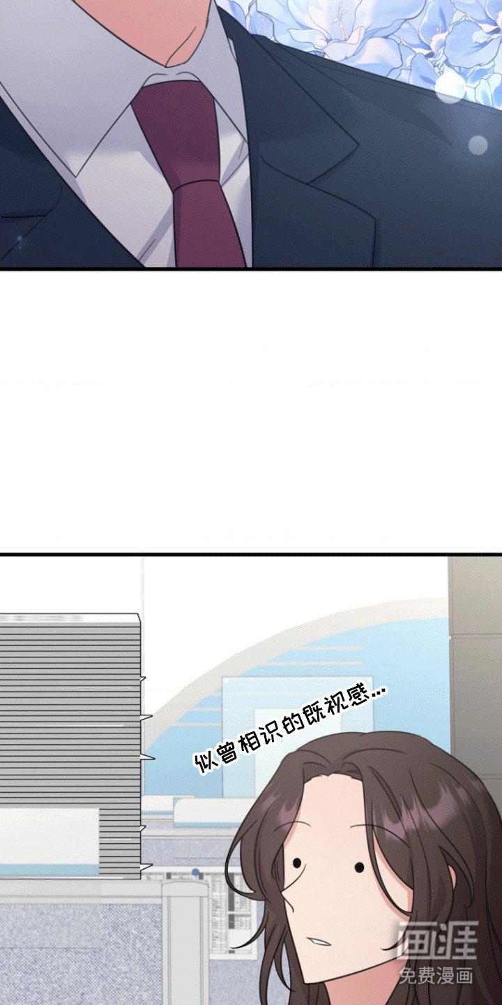 第13章：提议