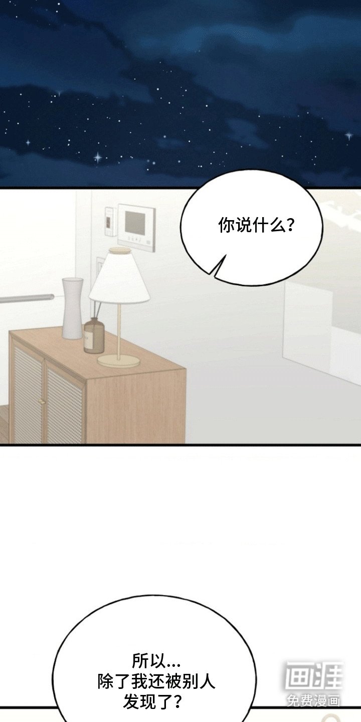 第13章：提议