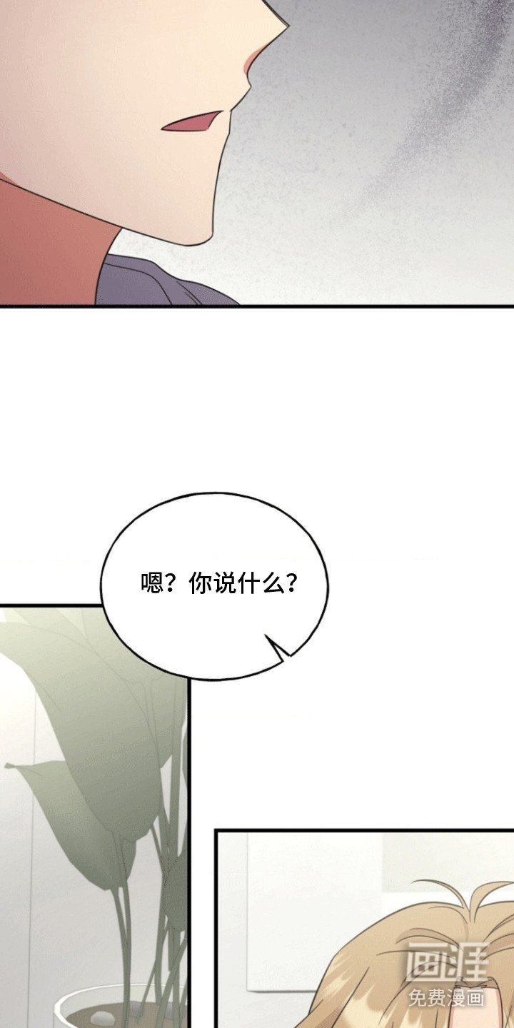 第13章：提议