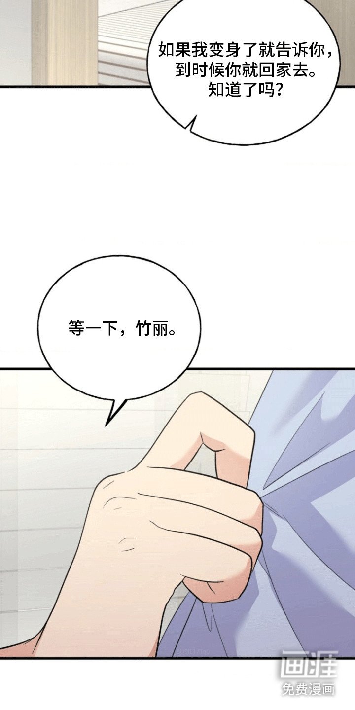 第13章：提议