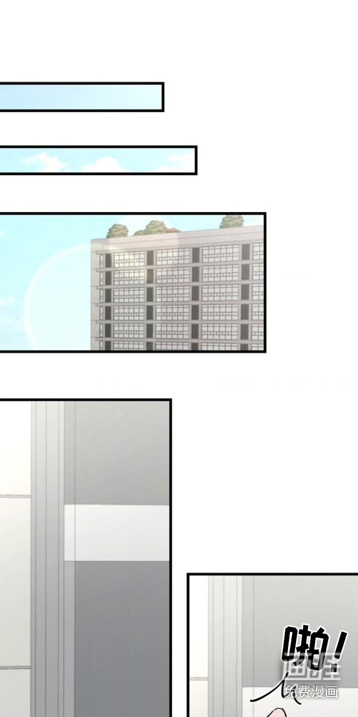 第15章：觉得我怎么样