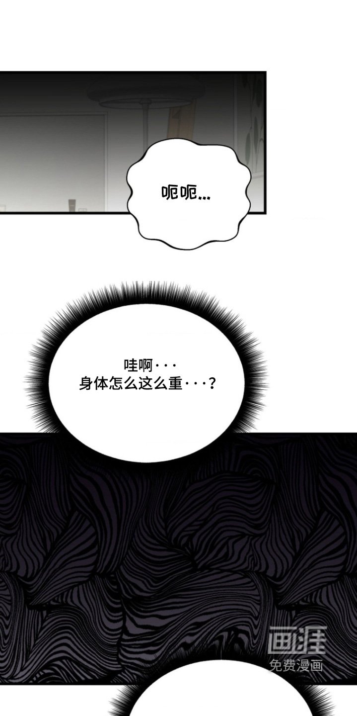 第20章：真稀奇