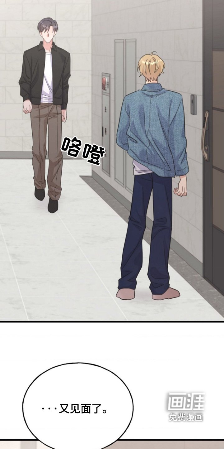 第29章：又见面了