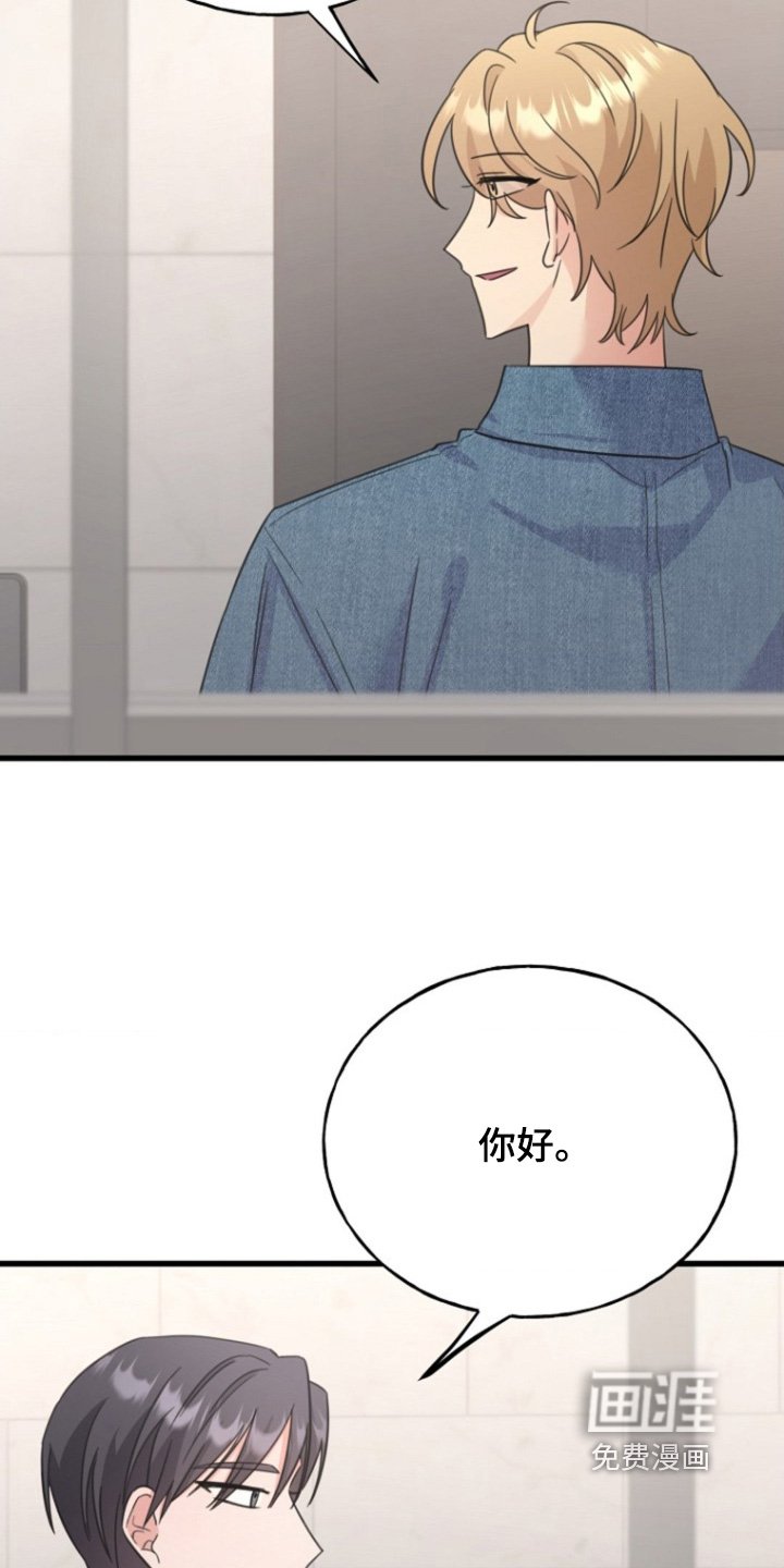 第29章：又见面了