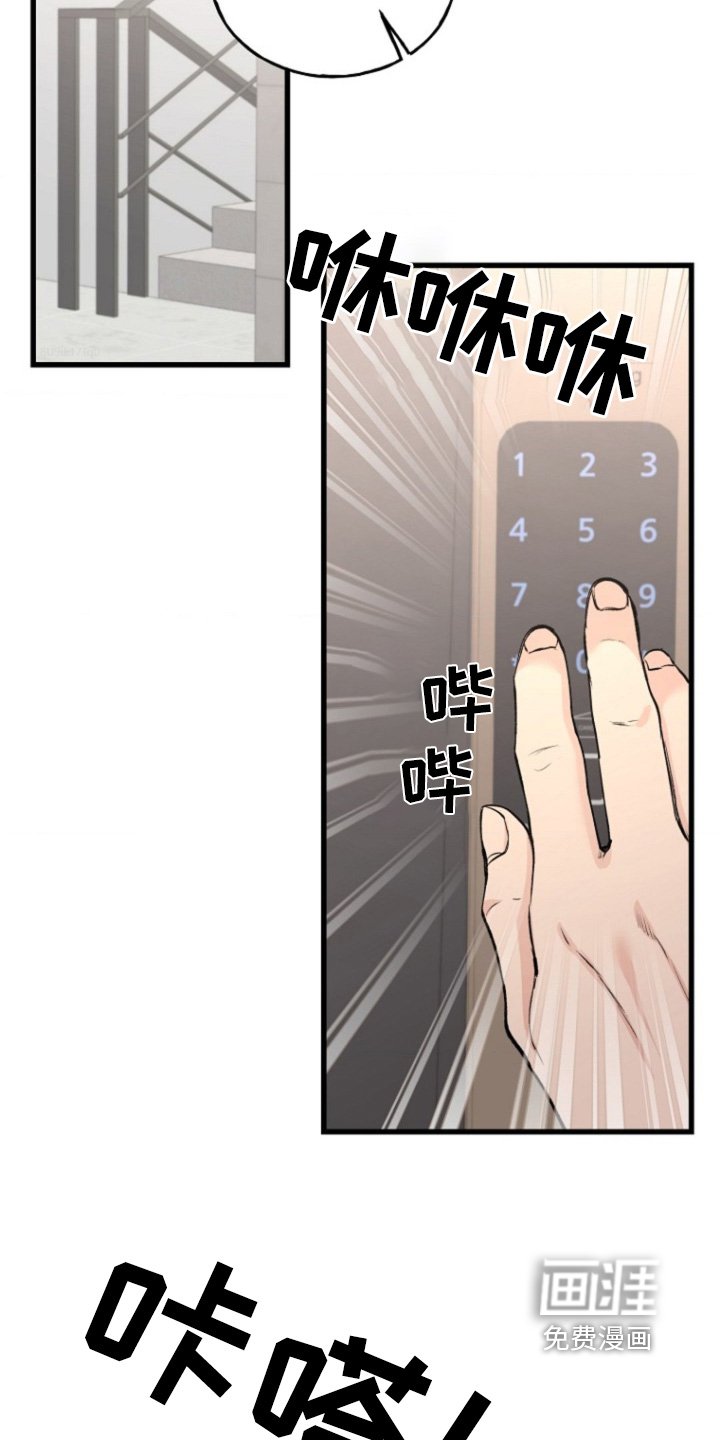 第29章：又见面了