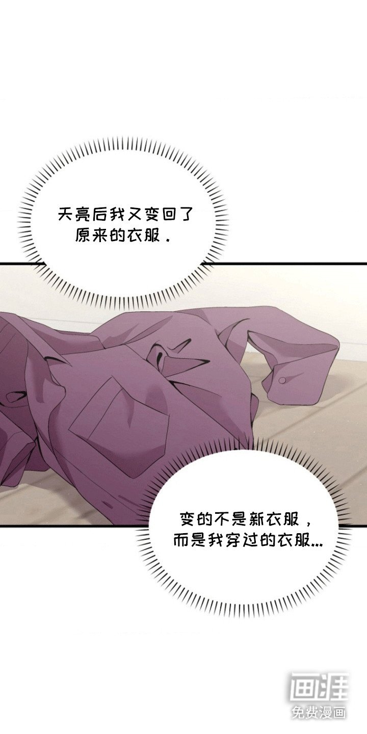 第4章：荒唐过后